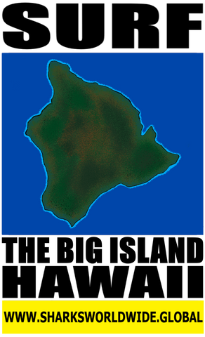 SURF TBIHI V2 T