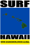 SURF HIBLU V2 T