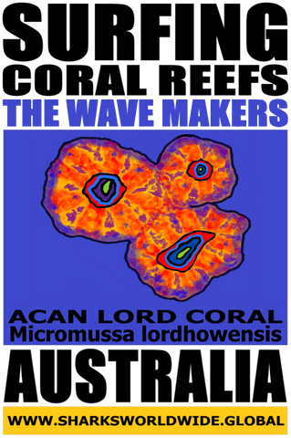 SGCR TWM ACAN V2 M