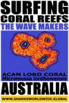SGCR TWM ACAN V2 T