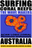 SGCR TWM ACAN V2 T