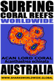 SGCRWW ACAN 2 M