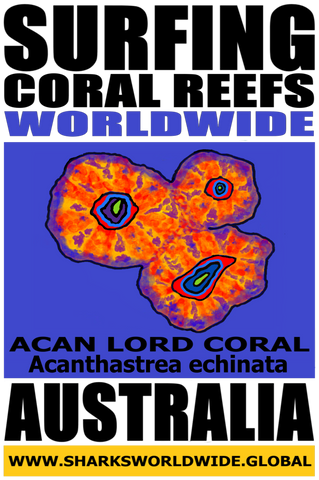 SGCRWW ACAN 2 M