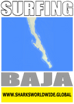 7SFNG BAJA M