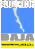 7SFNG BAJA M