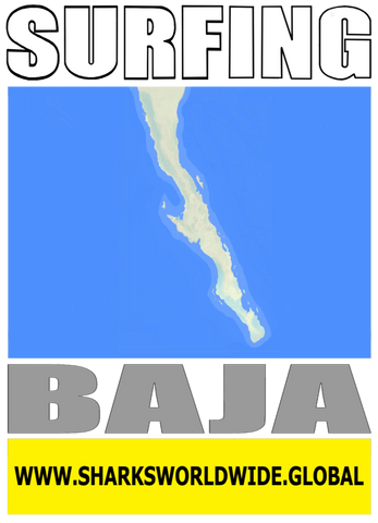 7SFNG BAJA M