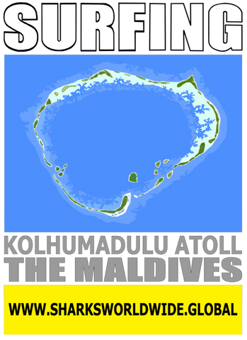 7SFNG KOL M