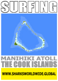 7SFNG MAN  M