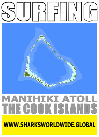 7SFNG MAN  M
