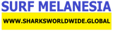 SFNB MELA F/R T