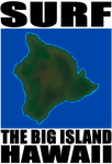 SURF TBIHI V1 T