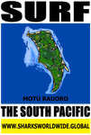 SURF SPMO RAU V2 M
