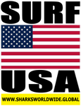 SURF USA V2 M