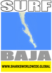 7SURF BAJA F/R T