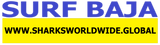 SFNB BAJA F/R T