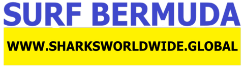 SFNB BER F/R T