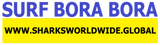 SFNB BORA F/R T