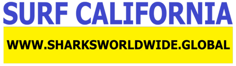 SFNB CA F/R T