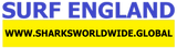 SFNB ENG F/R T