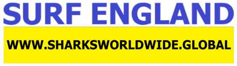 SFNB ENG F/R T