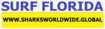 SFNB FL F/R T