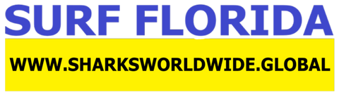 SFNB FL F/R T