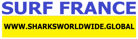 SFNB FRA F/R T