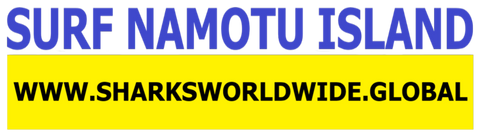 SFNB NAMO F/R T