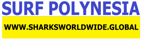 SFNB POLY F/R T