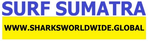 SFNB SUMA F/R T