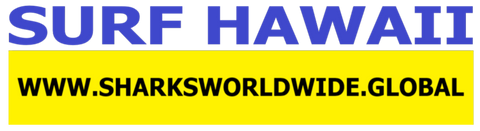 SFNB HI F/R T