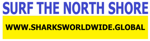SFNB TNS F/R T