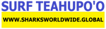 SFNB TEAH F/R T