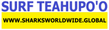 SFNB TEAH F/R T