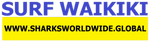 SFNB WAKI F/R T