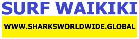 SFNB WAKI F/R T