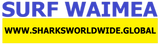 SFNB WAI F/R T