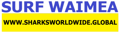 SFNB WAI F/R T