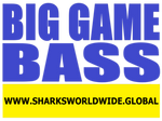 BGNBT BASS F/R T