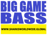 BGNBT BASS F/R T