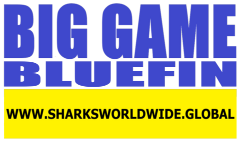 BGNBT BLUF F/R T