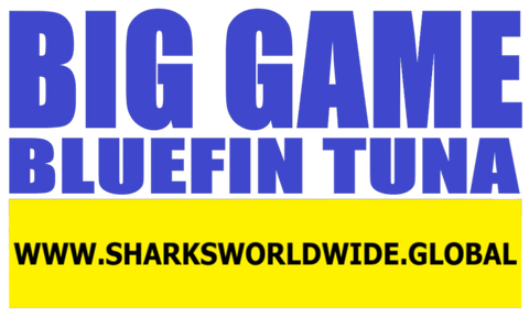 BGNBT BLUFT F/R T