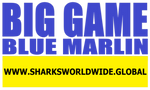 BGNBT BLUEM F/RT
