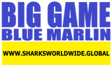 BGNBT BLUEM F/RT