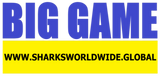 BGNBT BG F/R T