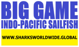 BGNBT IPSLF F/R T