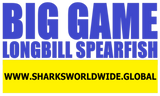 BGNBT LBSF F/RT