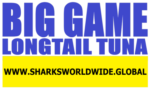 BGNBT LNGTT F/R T