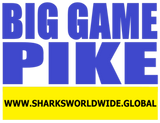 BGNBT PIKE F/R T