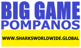 BGNBT POM M